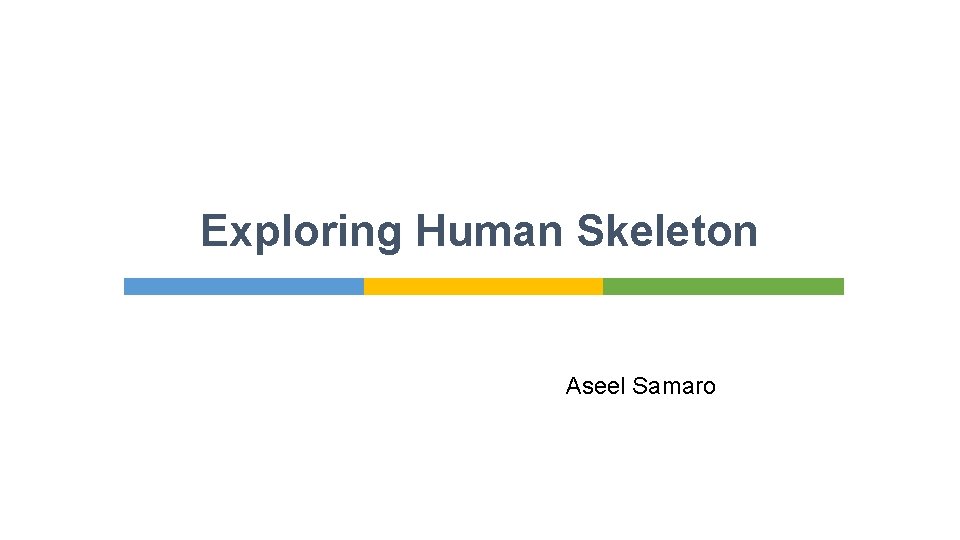 Exploring Human Skeleton Aseel Samaro 