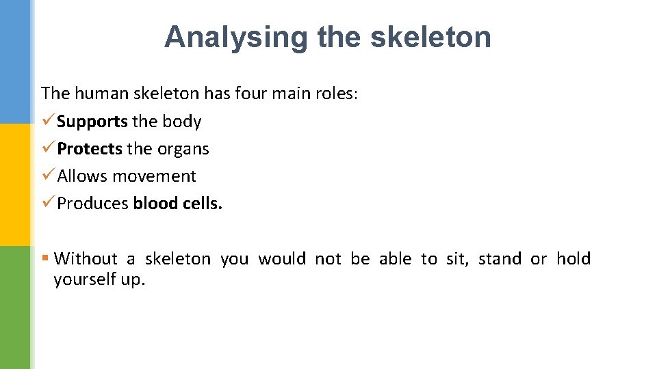 Analysing the skeleton The human skeleton has four main roles: üSupports the body üProtects