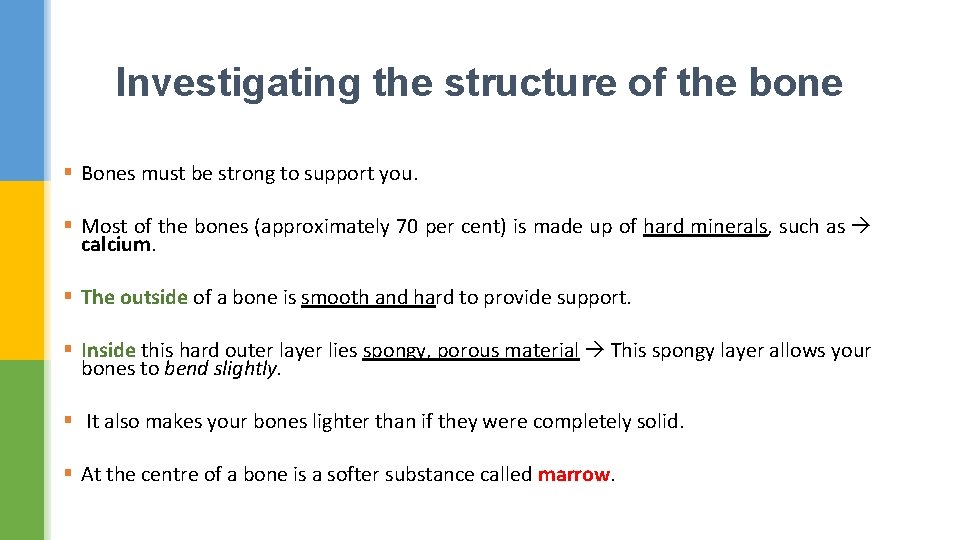 Investigating the structure of the bone § Bones must be strong to support you.