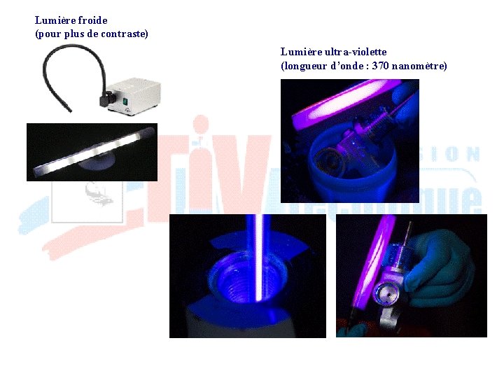 Lumière froide (pour plus de contraste) Lumière ultra-violette (longueur d’onde : 370 nanomètre) 