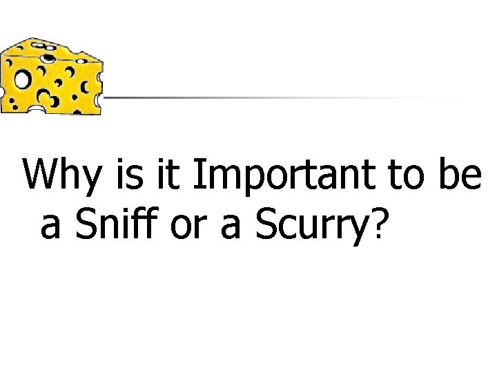 Why is it Important to be a Sniff or a Scurry? 