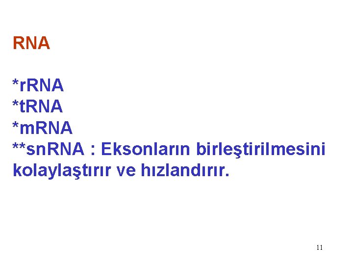 RNA *r. RNA *t. RNA *m. RNA **sn. RNA : Eksonların birleştirilmesini kolaylaştırır ve