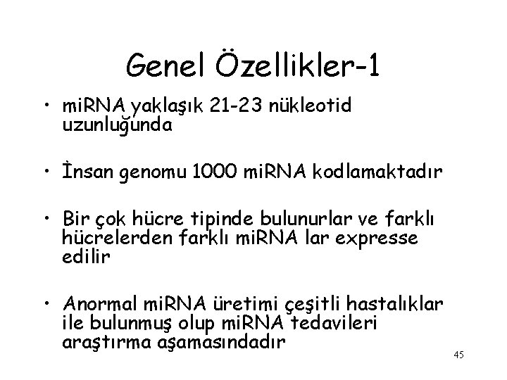 Genel Özellikler-1 • mi. RNA yaklaşık 21 -23 nükleotid uzunluğunda • İnsan genomu 1000