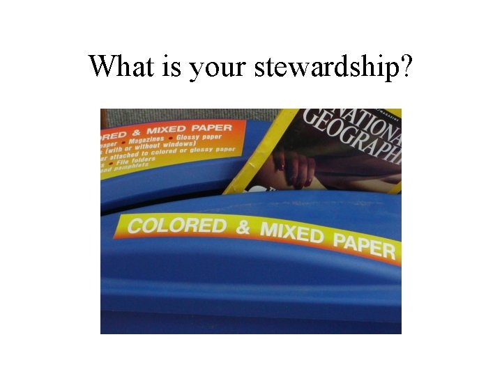 What is your stewardship? 