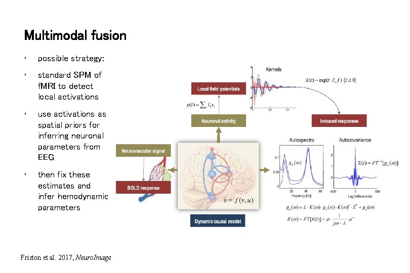 Multimodal fusion • possible strategy: • standard SPM of f. MRI to detect local