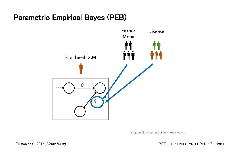 Parametric Empirical Bayes (PEB) Group Mean Disease First level DCM Image credit: Wilson Joseph