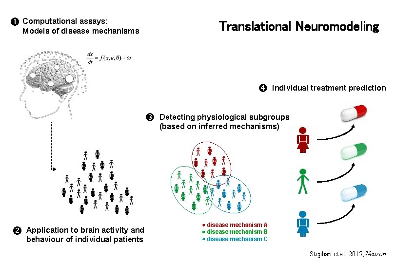  Computational assays: Translational Neuromodeling Models of disease mechanisms Application to brain activity and