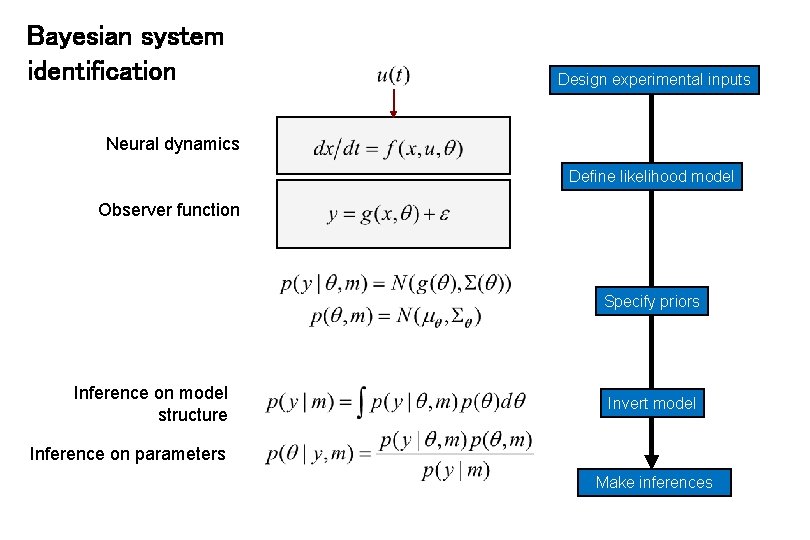 Bayesian system identification Design experimental inputs Neural dynamics Define likelihood model Observer function Specify