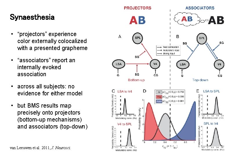 Synaesthesia • “projectors” experience color externally colocalized with a presented grapheme • “associators” report