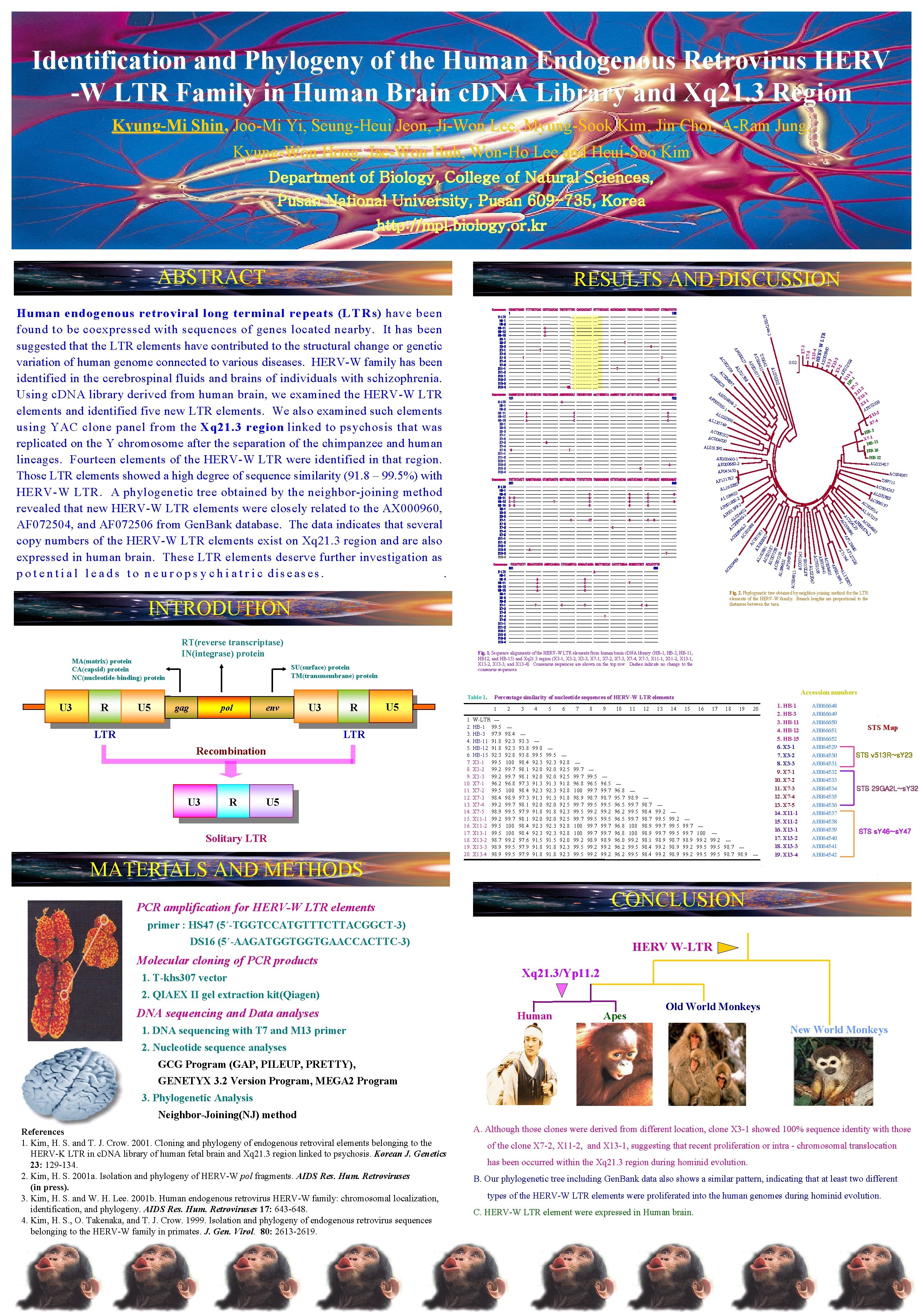 Identification and Phylogeny of the Human Endogenous Retrovirus HERV -W LTR Family in Human