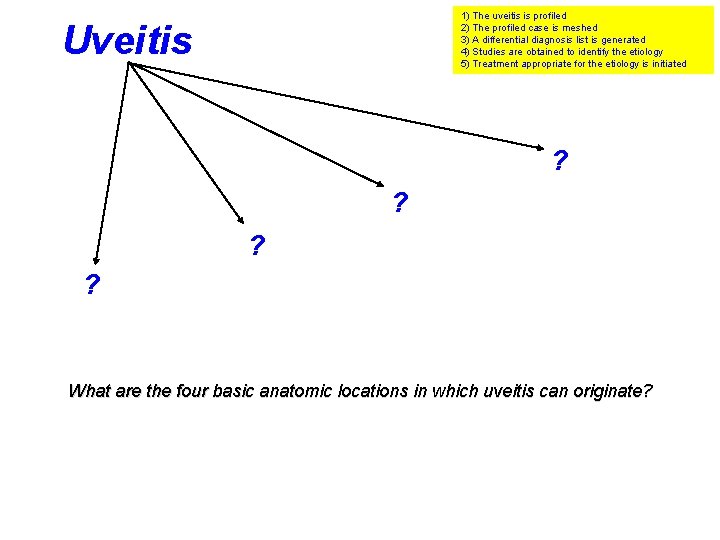 1) The uveitis is profiled 2) The profiled case is meshed 3) A differential