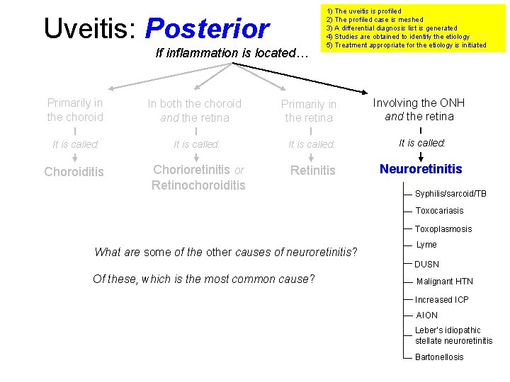 Uveitis: Posterior If inflammation is located… 1) The uveitis is profiled 2) The profiled