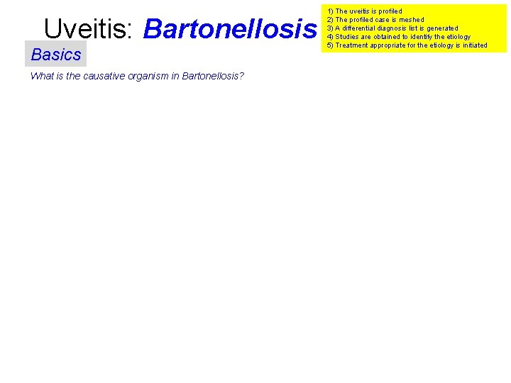 Uveitis: Bartonellosis Basics What is the causative organism in Bartonellosis? 1) The uveitis is