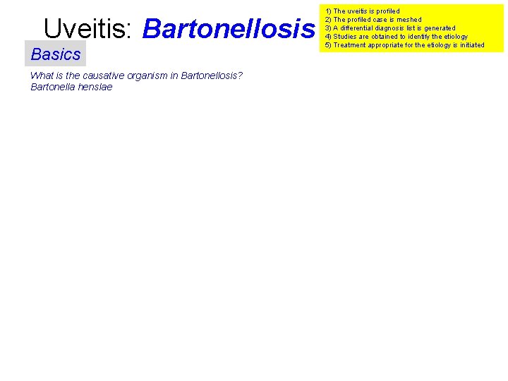 Uveitis: Bartonellosis Basics What is the causative organism in Bartonellosis? Bartonella henslae 1) The