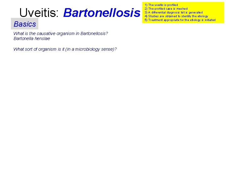 Uveitis: Bartonellosis Basics What is the causative organism in Bartonellosis? Bartonella henslae What sort