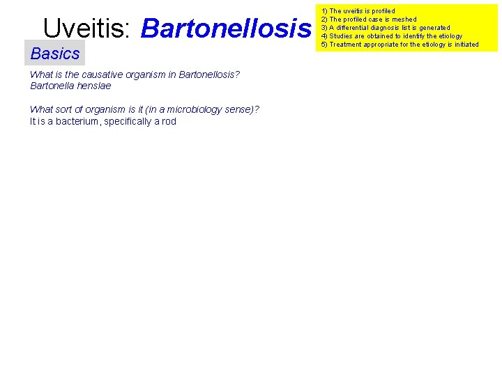 Uveitis: Bartonellosis Basics What is the causative organism in Bartonellosis? Bartonella henslae What sort