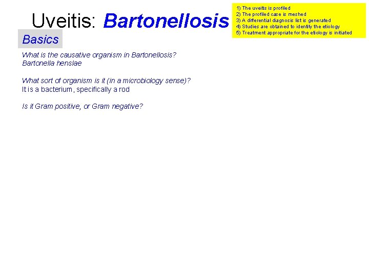 Uveitis: Bartonellosis Basics What is the causative organism in Bartonellosis? Bartonella henslae What sort