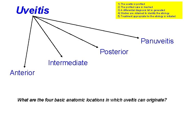 Uveitis 1) The uveitis is profiled 2) The profiled case is meshed 3) A