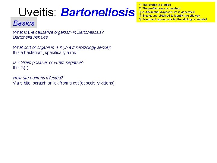 Uveitis: Bartonellosis Basics What is the causative organism in Bartonellosis? Bartonella henslae What sort