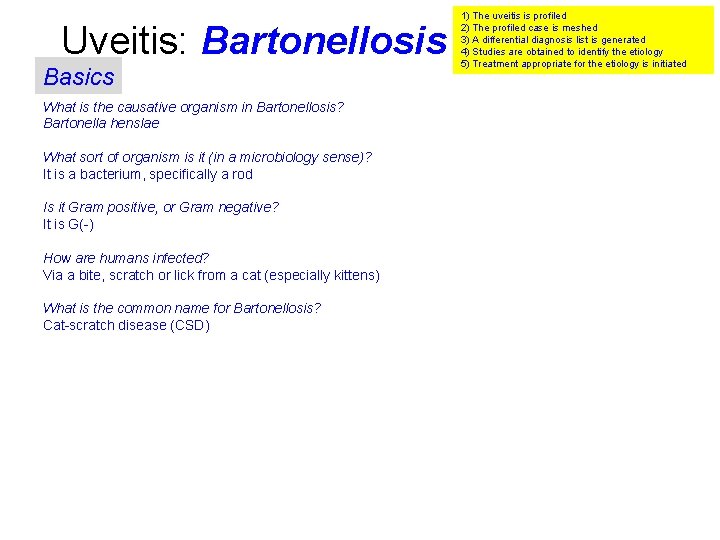 Uveitis: Bartonellosis Basics What is the causative organism in Bartonellosis? Bartonella henslae What sort