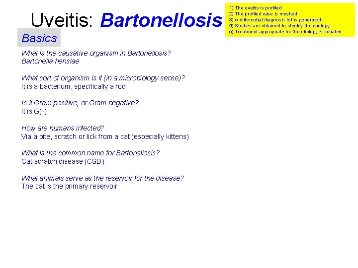 Uveitis: Bartonellosis Basics What is the causative organism in Bartonellosis? Bartonella henslae What sort