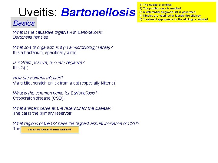 Uveitis: Bartonellosis Basics What is the causative organism in Bartonellosis? Bartonella henslae What sort