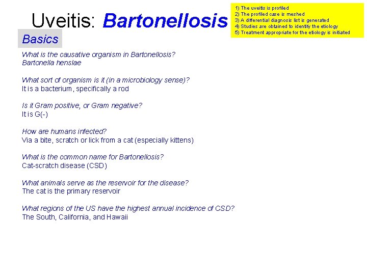 Uveitis: Bartonellosis Basics What is the causative organism in Bartonellosis? Bartonella henslae What sort