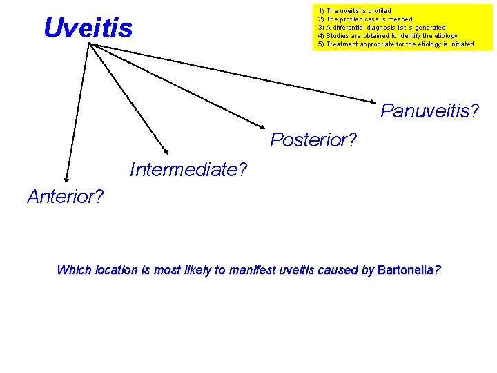 Uveitis 1) The uveitis is profiled 2) The profiled case is meshed 3) A