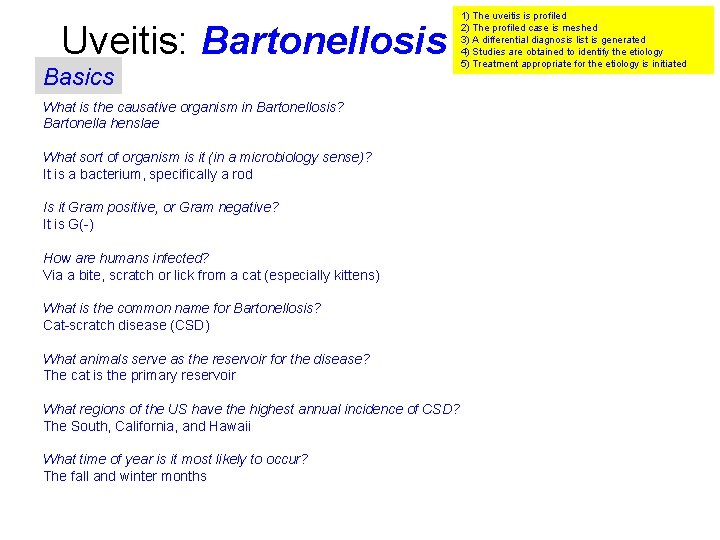 Uveitis: Bartonellosis Basics What is the causative organism in Bartonellosis? Bartonella henslae What sort