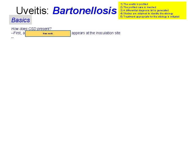 Uveitis: Bartonellosis Basics How does CSD present? three words --First, a focal vesciculopustular rash