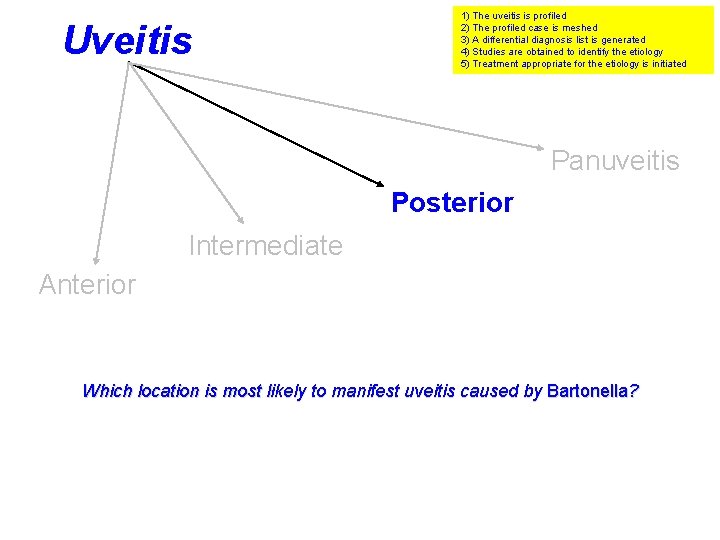 Uveitis 1) The uveitis is profiled 2) The profiled case is meshed 3) A