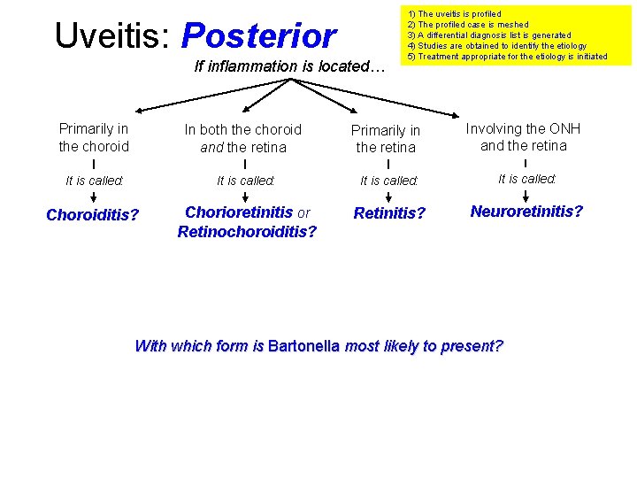 Uveitis: Posterior If inflammation is located… 1) The uveitis is profiled 2) The profiled