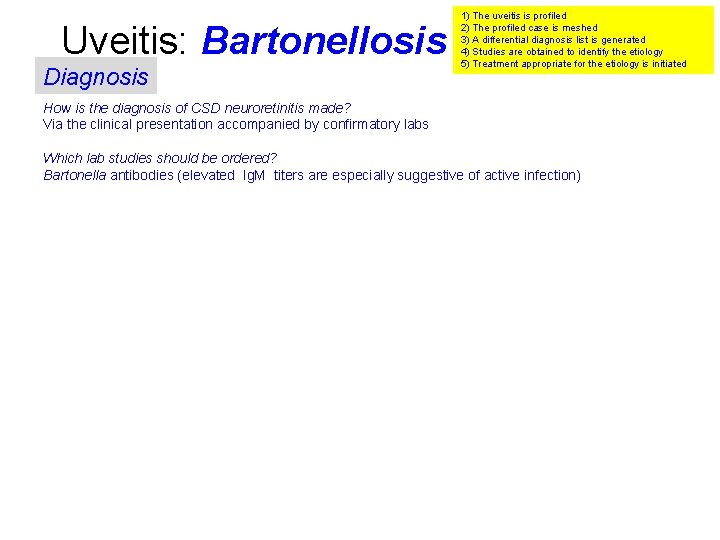 Uveitis: Bartonellosis Diagnosis 1) The uveitis is profiled 2) The profiled case is meshed