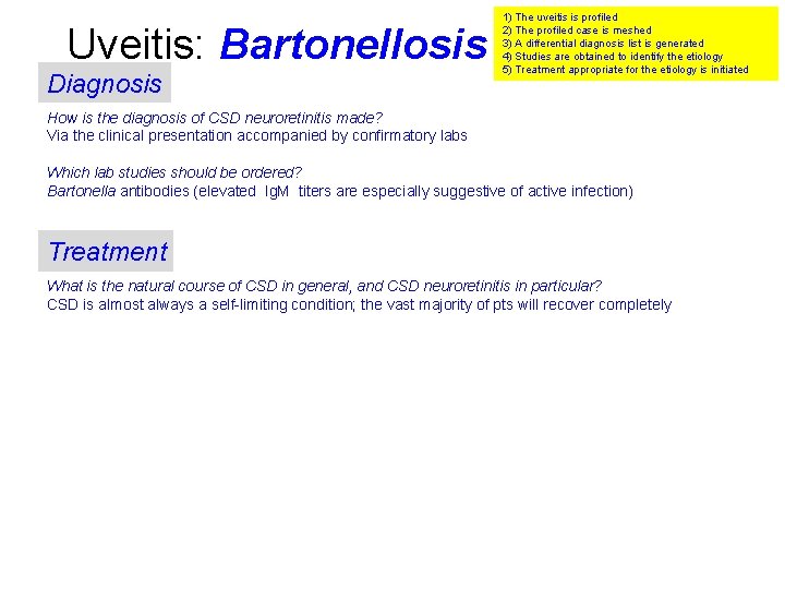 Uveitis: Bartonellosis Diagnosis 1) The uveitis is profiled 2) The profiled case is meshed