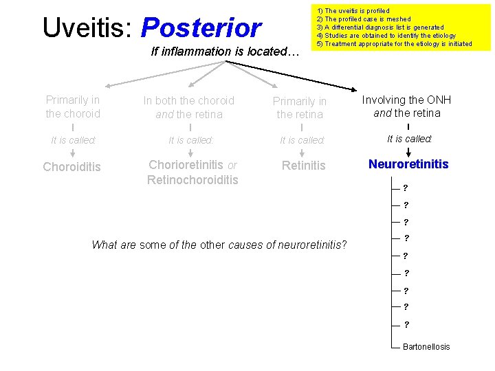 Uveitis: Posterior If inflammation is located… 1) The uveitis is profiled 2) The profiled