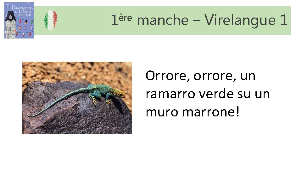 1ère manche – Virelangue 1 Orrore, orrore, un ramarro verde su un muro marrone! 1ère manche – Virelangue 1 Orrore, orrore, un ramarro verde su un muro marrone!