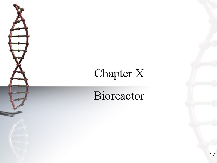 Chapter X Bioreactor 27 