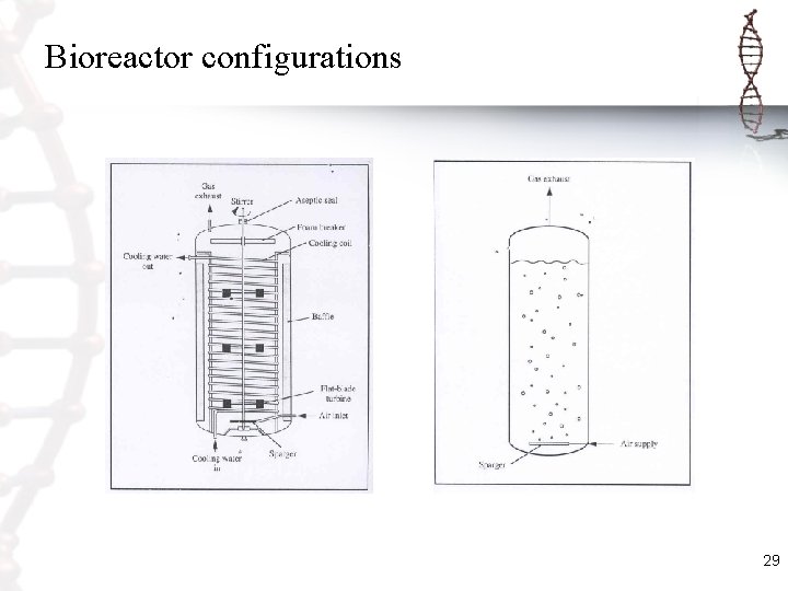 Bioreactor configurations 29 