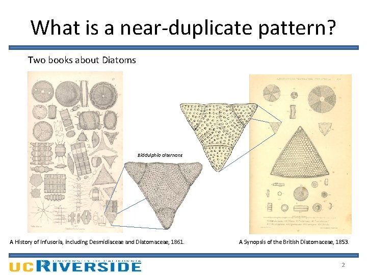 What is a near-duplicate pattern? Two books about Diatoms Biddulphia alternans A History of