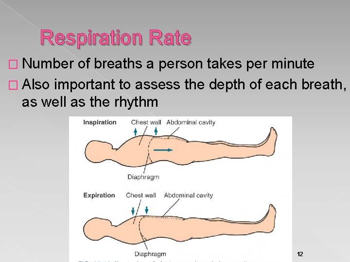 Respiration Rate � Number of breaths a person takes per minute � Also important