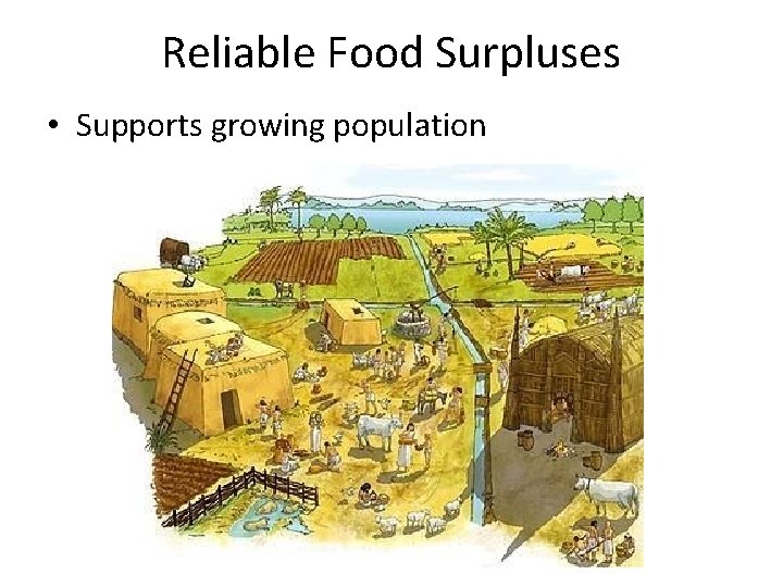 Reliable Food Surpluses • Supports growing population 