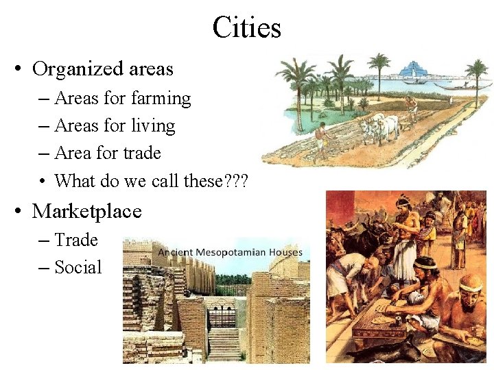 Cities • Organized areas – Areas for farming – Areas for living – Area