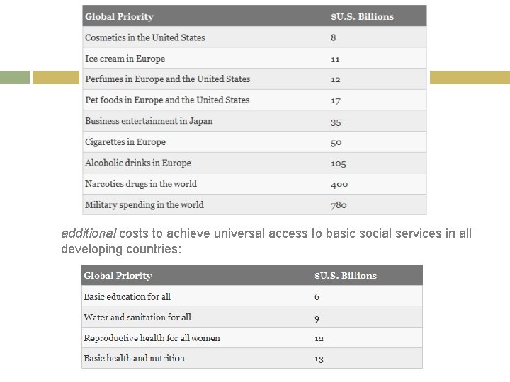 additional costs to achieve universal access to basic social services in all developing countries: