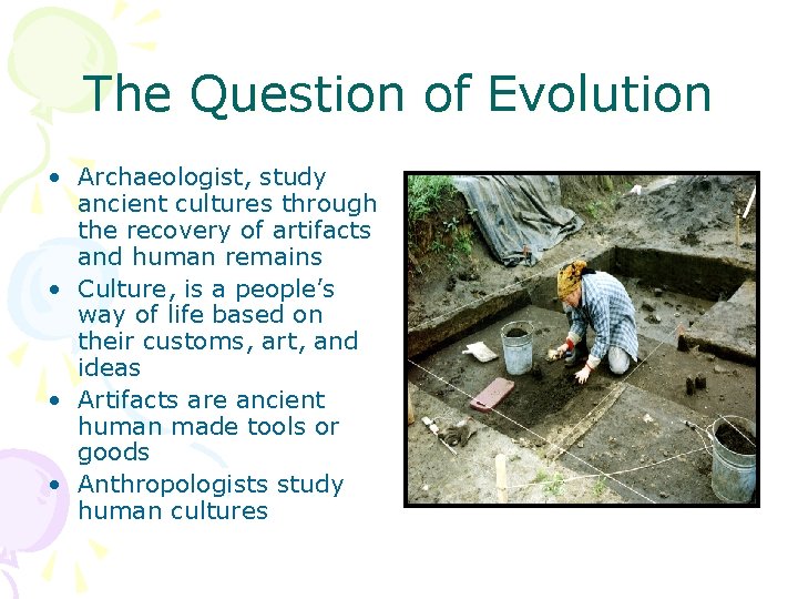 The Question of Evolution • Archaeologist, study ancient cultures through the recovery of artifacts