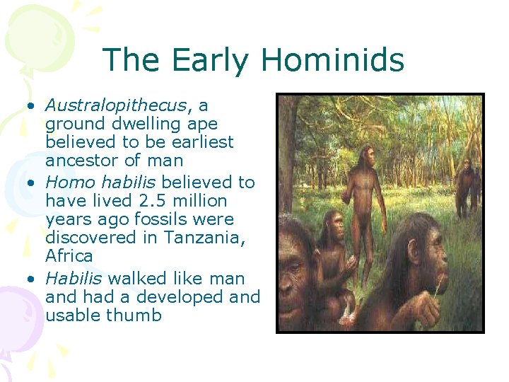 The Early Hominids • Australopithecus, a ground dwelling ape believed to be earliest ancestor