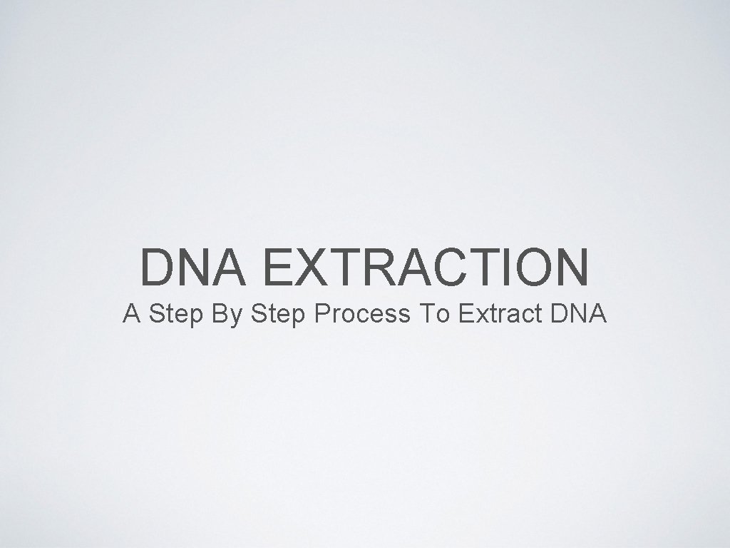 DNA EXTRACTION A Step By Step Process To Extract DNA 