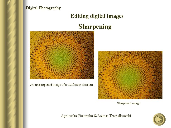 Digital Photography Editing digital images Sharpening An unsharpened image of a subflower blossom. Sharpened
