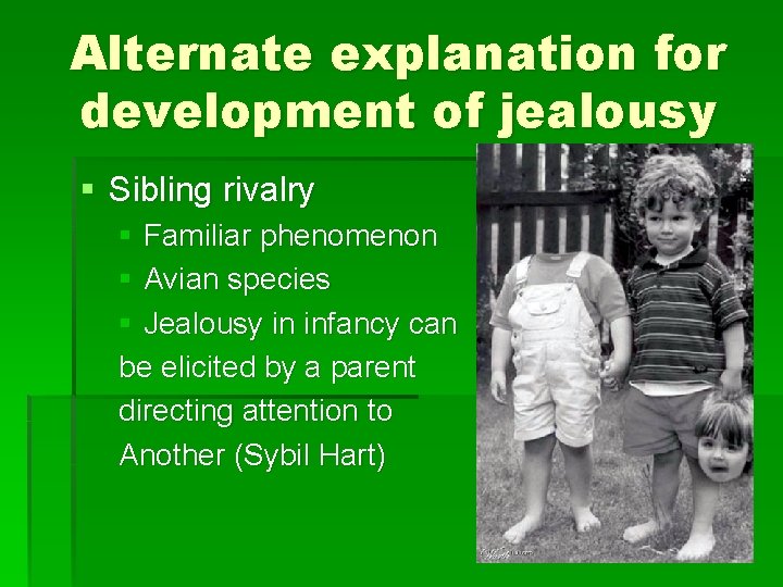 Alternate explanation for development of jealousy § Sibling rivalry § Familiar phenomenon § Avian