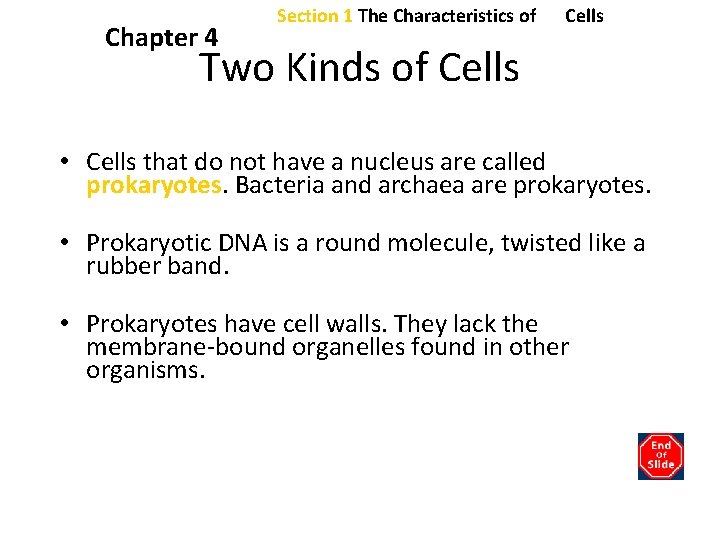 Chapter 4 Section 1 The Characteristics of Cells Two Kinds of Cells • Cells Chapter 4 Section 1 The Characteristics of Cells Two Kinds of Cells • Cells