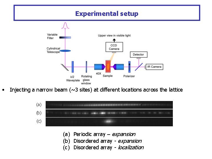 Experimental setup • Injecting a narrow beam (~3 sites) at different locations across the